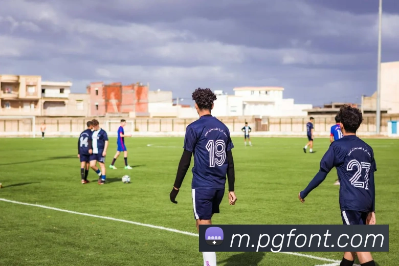 pg模拟器平台生态图